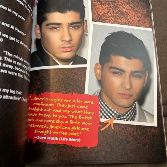 Superstars! One Direction Inside Their World The Music Sensation - Picture 9 of 10